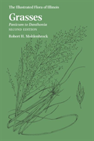 Grasses: Panicum to Danthonia 