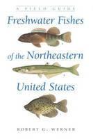 Freshwater Fishes of the Northeastern United States A Field Guide