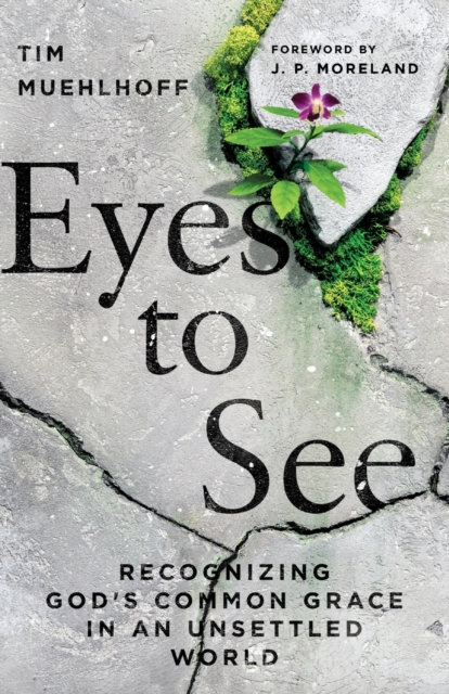 Eyes to See â Recognizing God`s Common Grace in an Unsettled World 