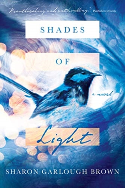 Shades of Light â A Novel 
