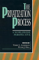 Privatization Process A Worldwide Perspective