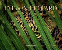 Eye of the Leopard 