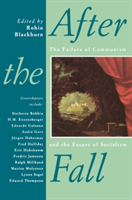 After the Fall The Failure of Communism and the Future of Socialism