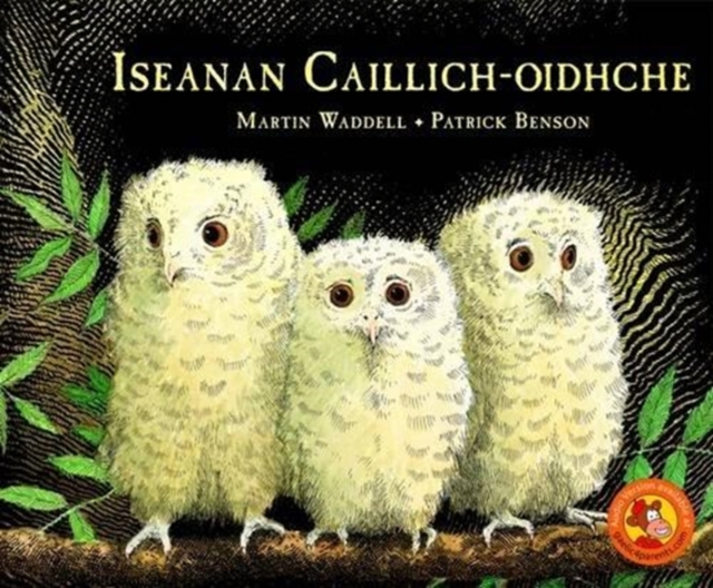 Iseanan Caillich-Oidhche 