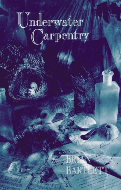 Underwater Carpentry 