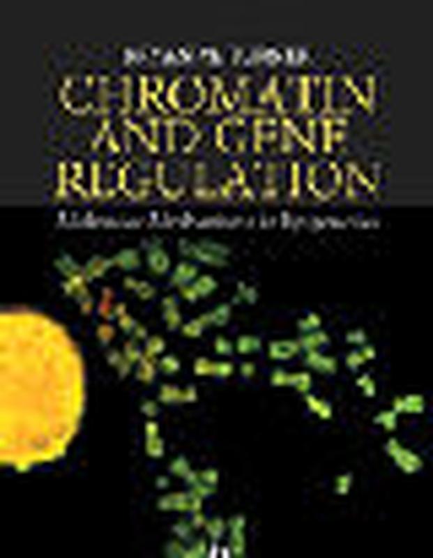 Chromatin and Gene Regulation Molecular Mechanisms in Epigenetics
