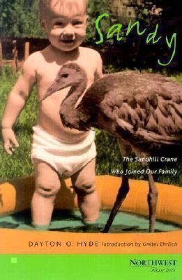 Sandy The Sandhill Crane Who Joined