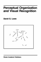 Perceptual Organization and Visual Recognition 