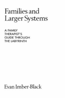 Families and Larger Systems A Family Therapist's Guide through the Labyrinth