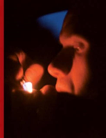 Nick Crowe & Ian Rawlinson 