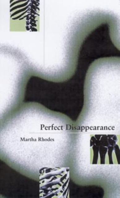Perfect Disappearance 