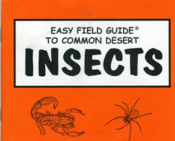 Easy Field Guide to Common Desert Insects 