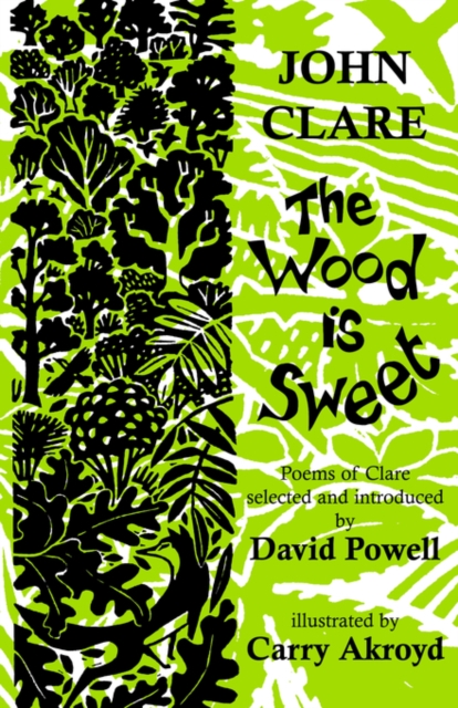 Wood is Sweet 