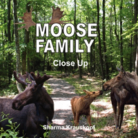 Moose Family Close Up 