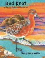 Red Knot A Shorebird's Incredible Journ