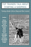 Top Trainers Talk About Starting a Sheepdog Training a Border Collie on Sheep and Other Livestock