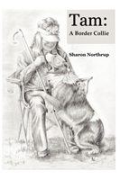 Tam A Border Collie