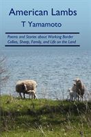American Lambs Poems and Stories About Working Border Collies, Sheep, Family,