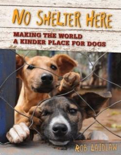 No Shelter Here Making the World a Kinder Place for Dogs