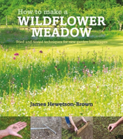 How to make a wildflower meadow Tried-And-Tested Techniques fo