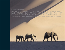Power and Majesty The plight and preservation of the African Elephant