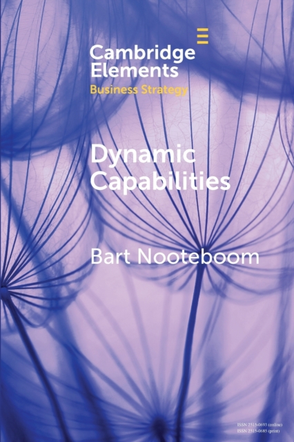 Dynamic Capabilities History and an Extension