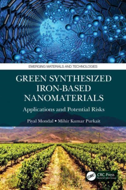 Green Synthesized Iron-based Nanomaterials Applications and Potential Risks