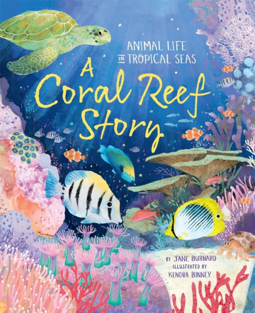 Coral Reef Story Animal Life in Tropical Seas