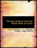 Tain Bo Cuailnce from the Yellow Book of Lecan 