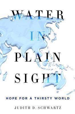 Water in Plain Sight 