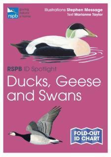 RSPB ID Spotlight - Ducks, Geese and Swans 