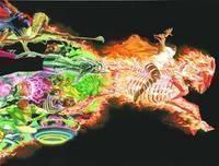 Astro City The Dark Age HC Book 02 Brothers In Arm 