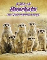Mob of Meerkats and Other Mammal Groups