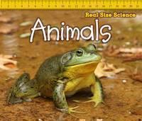 Animals 