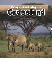 Living and Non-living in the Grasslands 