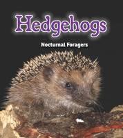 Hedgehogs Nocturnal Foragers