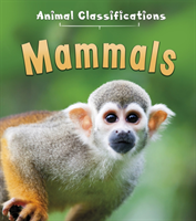 Mammals 