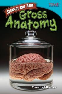Strange but True: Gross Anatomy Gross Anatomy
