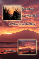 Snapshots and Visions A View from the Now