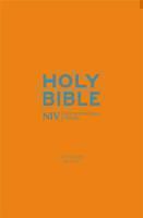 NIV Pocket Cyan Soft-tone Bible with Zip 