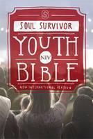 NIV Youth Bible Hardback 