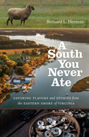 South You Never Ate Savoring Flavors and Stories from the Eastern Shore of Virginia