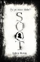 Soot The Times's Historical Fiction