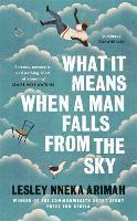 What It Means When A Man Falls From The Sky The most acclaimed short story