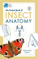 Pocket Book of Insect Anatomy 