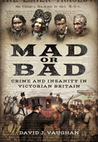 Mad or Bad: Crime and Insanity in Victorian Britain 
