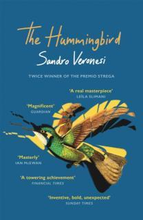 Hummingbird âMagnificentâ (Guardian)