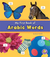 Bilingual Picture Dictionaries Pack A of 6