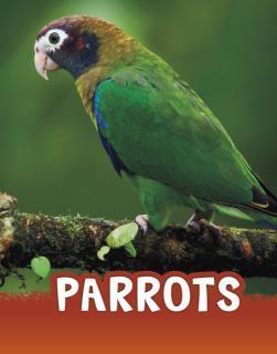 Parrots 