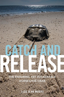 Catch and Release The Enduring Yet Vulnerable Horseshoe Crab